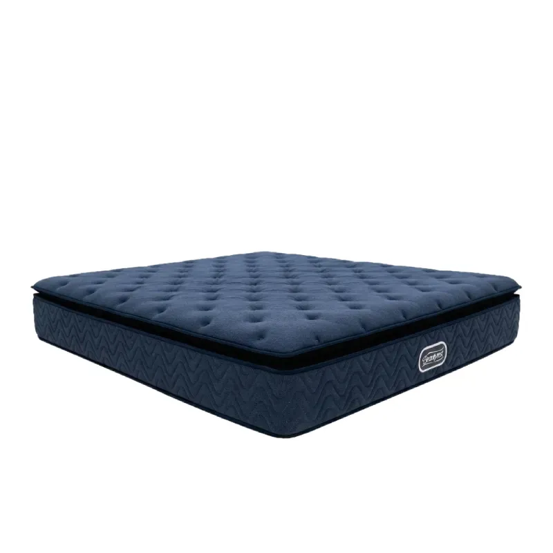 Ardella Plush Pillow Top Motion Isolation Pocket Spring Mattress
