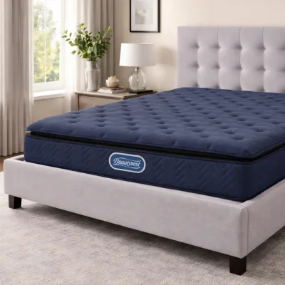 Ardella Plush Pillow Top Motion Isolation Pocket Spring Mattress