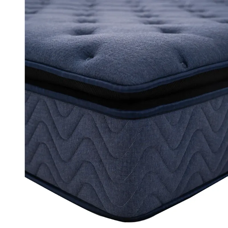 Ardella Plush Pillow Top Motion Isolation Pocket Spring Mattress